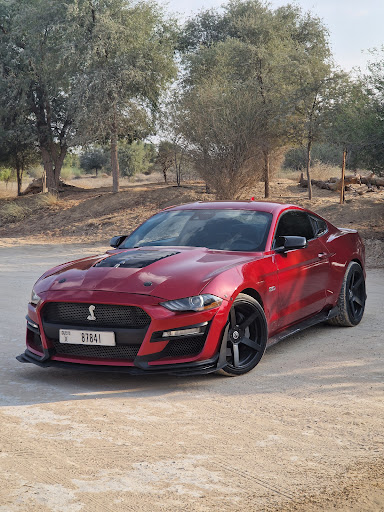 X Car Rental - Sports and Luxury Car Rental Dubai — AUTOMOTIVE in Dubai — photo 3