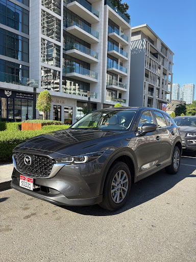 Falcon Drive Car Rental — AUTOMOTIVE in Dubai — photo 3