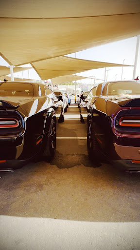Sharjah Used Car Market — AUTOMOTIVE in Dubai — photo 2