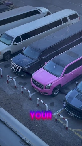 Mala Limousines — AUTOMOTIVE in Dubai — photo 1