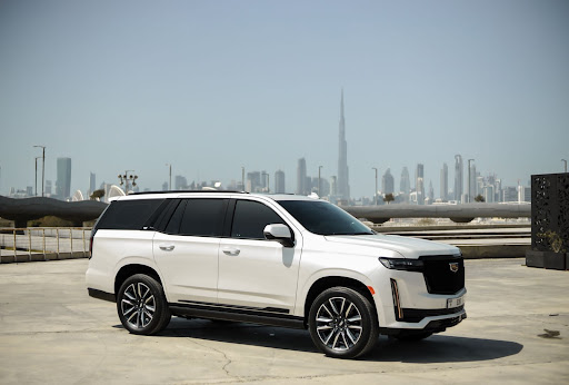 Expert Safe Driver Dubai — AUTOMOTIVE in Dubai — photo 3