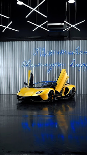 The Detailing Experts Xpel PPF — AUTOMOTIVE in Dubai — photo 2