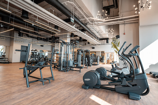 51 GYM DUBAI — BEAUTY in Dubai — photo 2
