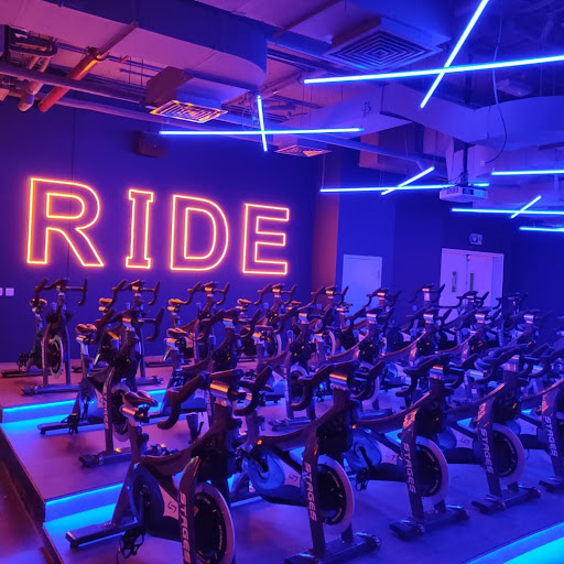 GymNation Bur Dubai | Best Gym In Bur Dubai — BEAUTY in Dubai — photo 3