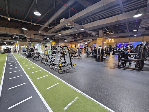 GymNation Al Quoz | Best Gym in Al Quoz — BEAUTY in Dubai — photo 2