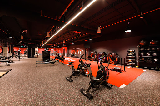 UFC GYM - 1 CENTRAL | Dubai World Trade Centre — BEAUTY in Dubai — photo 2