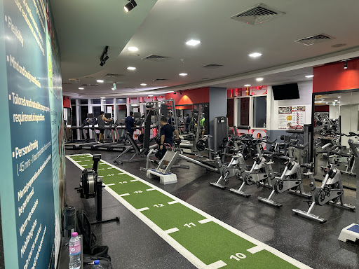 Powerhouse Gym and Swimming Academy | Best Gym in Sharjah — BEAUTY in Dubai — photo 2