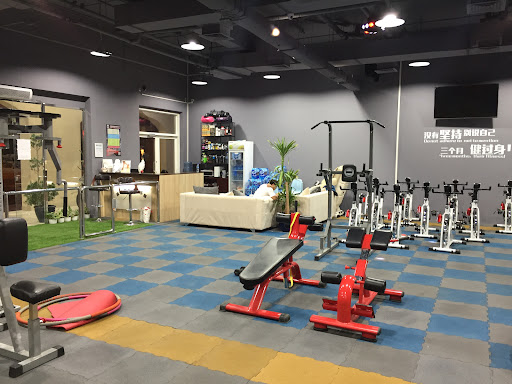 Body Arts Fitness Gym — BEAUTY in Dubai — photo 2