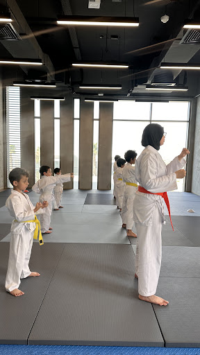 South Fitness Club — BEAUTY in Dubai — photo 2