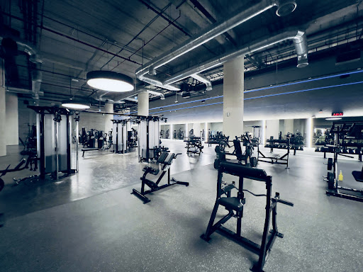 The Warehouse Gym - Ibn Battuta — BEAUTY in Dubai — photo 2
