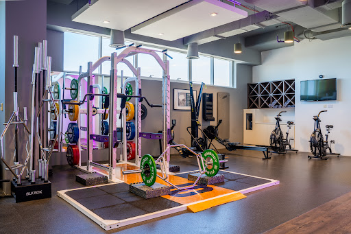 Embody Fitness — BEAUTY in Dubai — photo 2