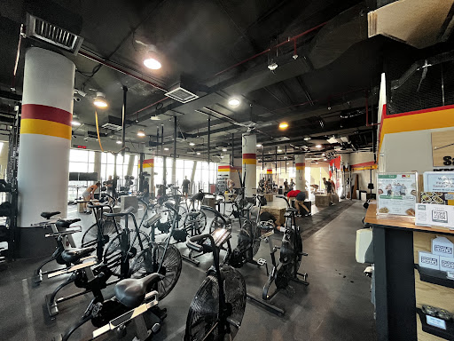 Sands Fitness/CrossFit Oasis — BEAUTY in Dubai — photo 1