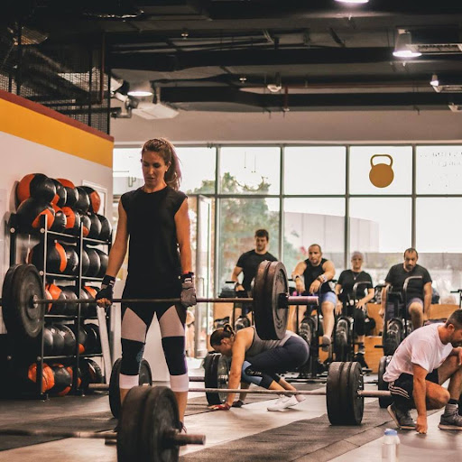 Sands Fitness/CrossFit Oasis — BEAUTY in Dubai — photo 2