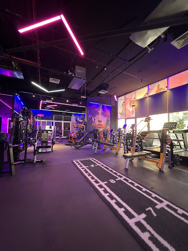 PRIME FITNESS JVC — BEAUTY in Dubai — photo 2