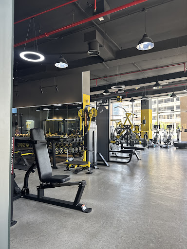 Generation Iron Gym — BEAUTY in Dubai — photo 2