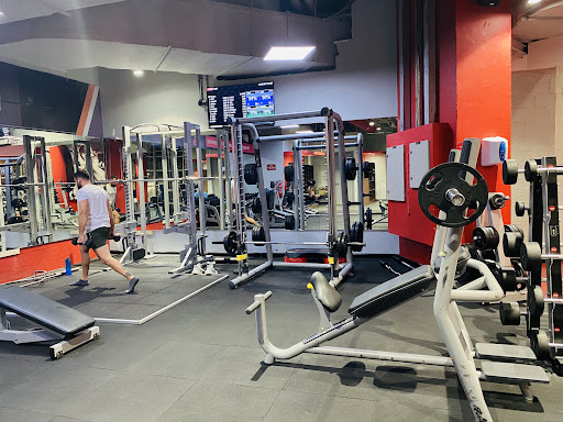 Snap Fitness Media City | Best Gym in Dubai — BEAUTY in Dubai — photo 2