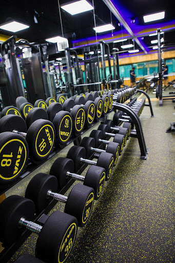GYMTOWN BODY BUILDING LLC — BEAUTY in Dubai — photo 2