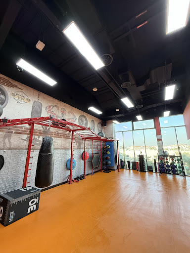 Crony Fitness — BEAUTY in Dubai — photo 2