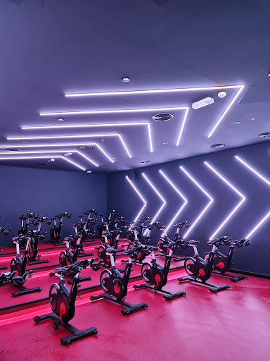 Fitness First Marina Gate — BEAUTY in Dubai — photo 3
