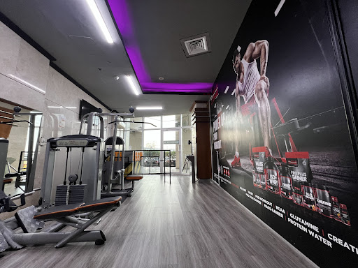 The Big Gym — BEAUTY in Dubai — photo 3