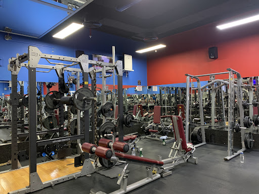 V FITNESS GYM — BEAUTY in Dubai — photo 2