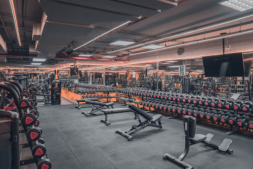World of Champions Gym — BEAUTY in Dubai — photo 2