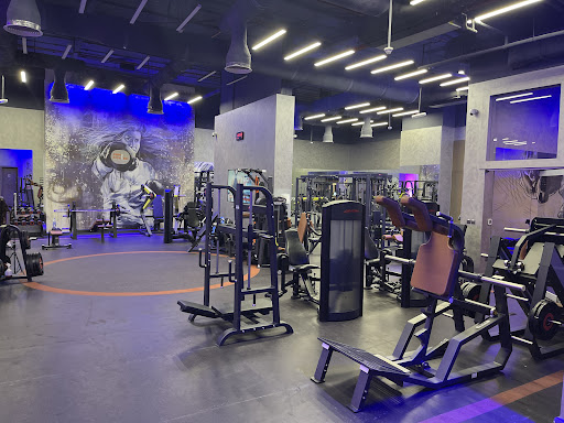 PRIME FITNESS 2 DAMAC TOWER 108 JVC — BEAUTY in Dubai — photo 2