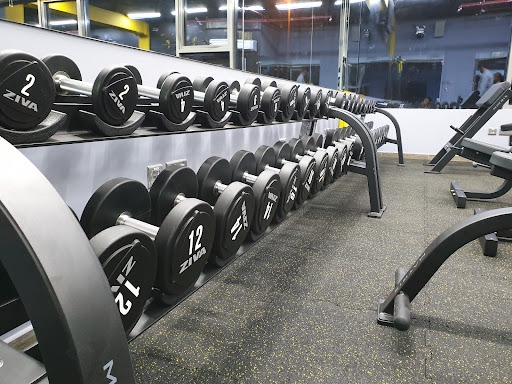 MUSCLE FIRE GYM L.L.C — BEAUTY in Dubai — photo 3