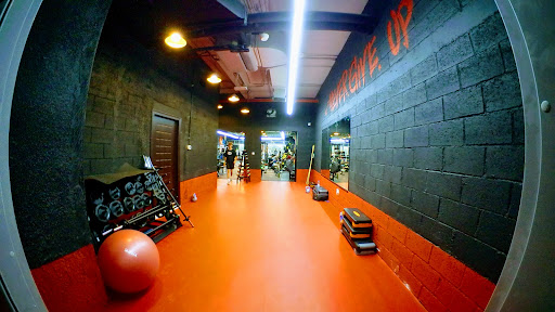 Iron Power Fitness Gym — BEAUTY in Dubai — photo 2