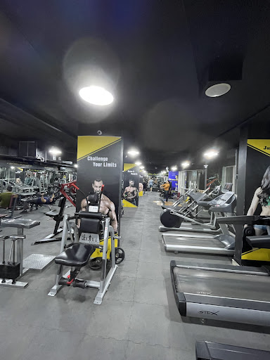 Power Gym Al Quoz — BEAUTY in Dubai — photo 2