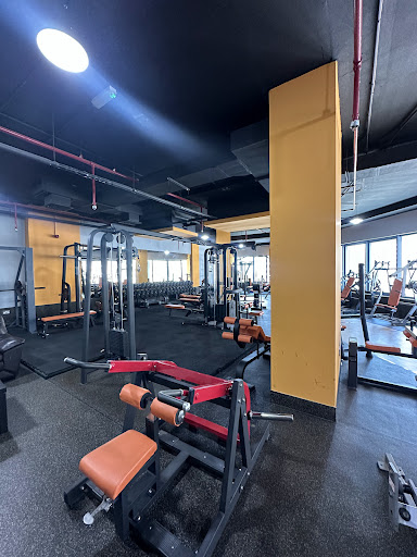 The Trainers Gym — BEAUTY in Dubai