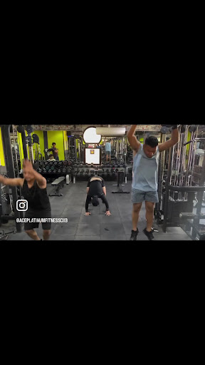 Ace Platinum Fitness LLC — BEAUTY in Dubai — photo 2