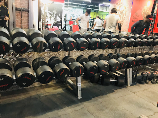 Fitness Terminal Men's Gym — BEAUTY in Dubai — photo 3