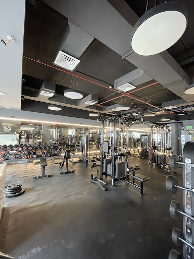 Body transformation fitness club — BEAUTY in Dubai — photo 2