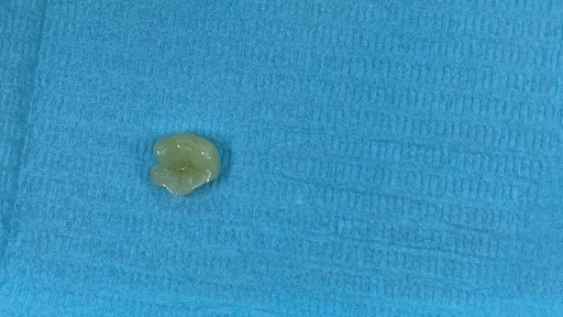 Empire Dental Clinic Dubai — BEAUTY in Dubai — photo 3