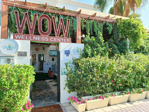 Wealth of Wellness Dubai — BEAUTY in Dubai — photo 3