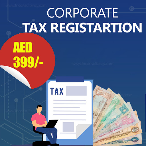 FANAVI Accounting & Bookkeeping - Corporate tax and VAT Consultant in Dubai — BUSINESS in Dubai — photo 1