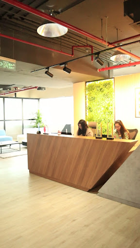 Affiniax Partners - Chartered Accountant, Tax Consultant & Bookkeeping Services — BUSINESS in Dubai — photo 3