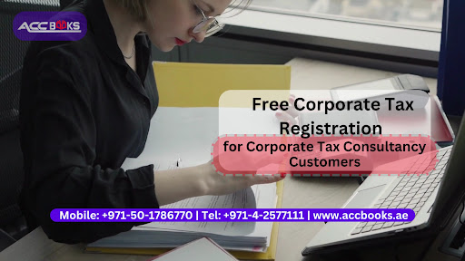 Accbooks Accounting — BUSINESS in Dubai — photo 1