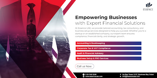 Essence Accounting & Tax Consultancy — BUSINESS in Dubai — photo 2
