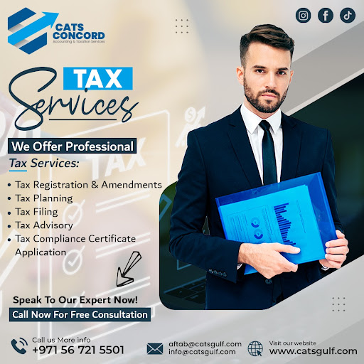 Concord Accounting & Bookkeeping Services — BUSINESS in Dubai — photo 2