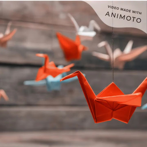 Accountant's Box — BUSINESS in Dubai — photo 1