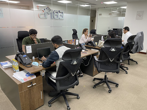 EBMS Business Services LLC — BUSINESS in Dubai — photo 2