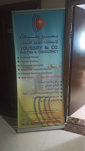 Youssry & Co. Auditing & Consultancy — BUSINESS in Dubai — photo 1