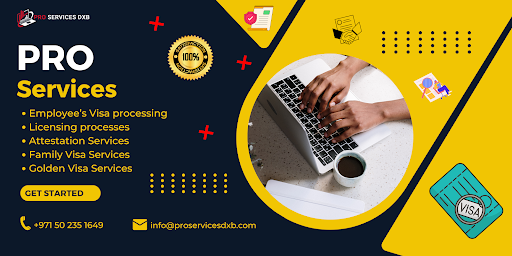 Business Setup Pro Services Dubai — BUSINESS in Dubai — photo 1