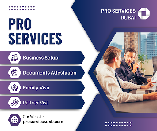 Business Setup Pro Services Dubai — BUSINESS in Dubai — photo 2