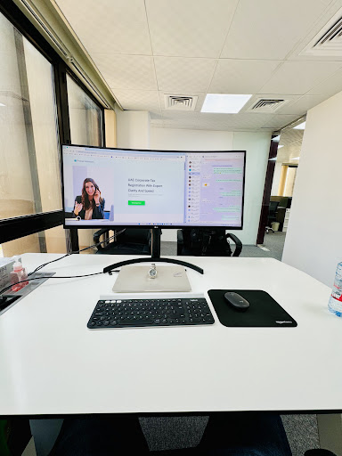 Protax Advisors LLC | Corporate Tax and VAT Consultants in Dubai — BUSINESS in Dubai — photo 1