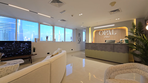 Opal Elite Clinic — HEALTHCARE in Dubai — photo 2