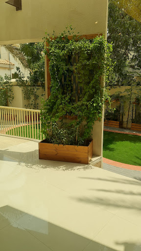 Alma PolyClinic | Best Dental Clinic & Medical Center in Dubai UAE — HEALTHCARE in Dubai — photo 3
