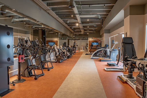 Delta Plus Physiotherapy Clinic — HEALTHCARE in Dubai — photo 1
